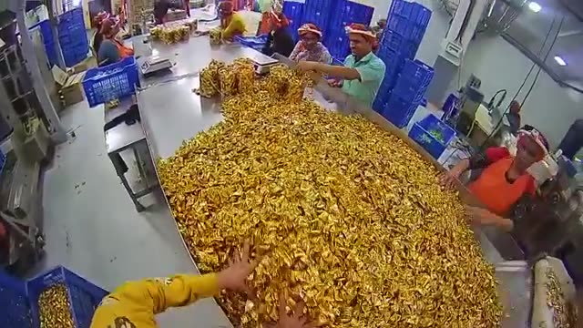 Foil Wrapped Candy Sorting preview